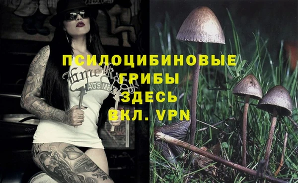 хмурый Балахна