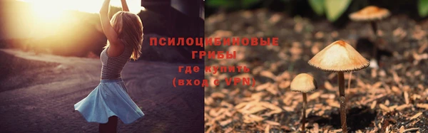 бошки Баксан