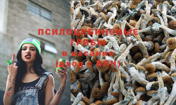 стафф Балабаново